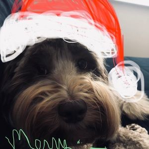 Meet your Posher, Dena